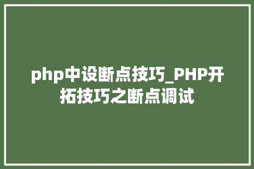 php中设断点技巧_PHP开拓技巧之断点调试