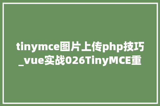 tinymce图片上传php技巧_vue实战026TinyMCE重写图片上传功能