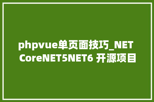 phpvue单页面技巧_NET CoreNET5NET6 开源项目汇总3工作流组件