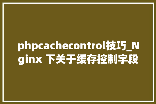phpcachecontrol技巧_Nginx 下关于缓存控制字段 cachecontrol 的设备说明