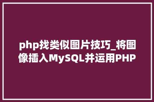 php找类似图片技巧_将图像插入MySQL并运用PHP检索图像