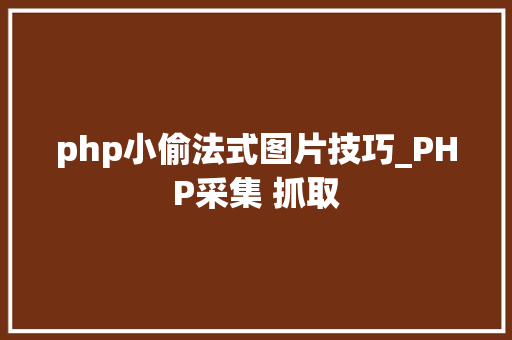 php小偷法式图片技巧_PHP采集 抓取