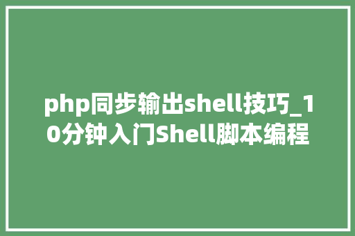 php同步输出shell技巧_10分钟入门Shell脚本编程