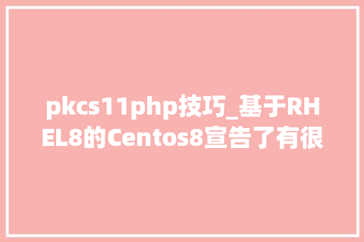pkcs11php技巧_基于RHEL8的Centos8宣告了有很多我喜好的功能赶紧进级吧