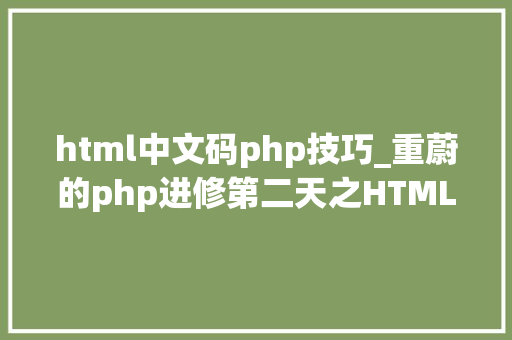 html中文码php技巧_重蔚的php进修第二天之HTML篇