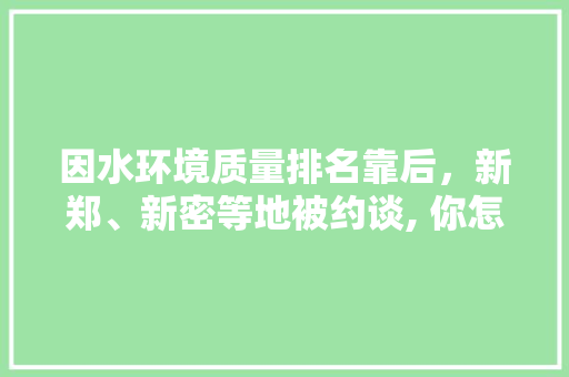 因水环境质量排名靠后，新郑、新密等地被约谈, 你怎么看「郑州百度seo网站优化」