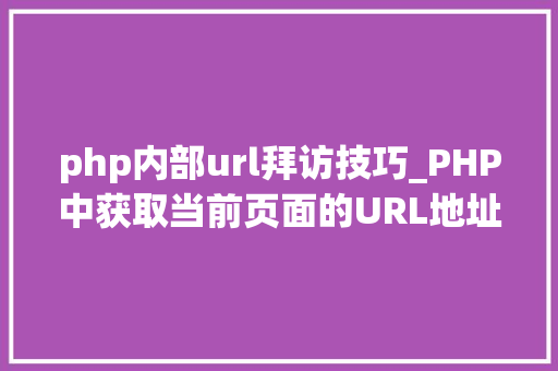 php内部url拜访技巧_PHP中获取当前页面的URL地址的方法