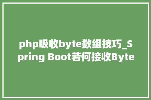 php吸收byte数组技巧_Spring Boot若何接收Byte字节数组数据