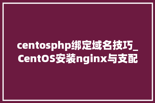centosphp绑定域名技巧_CentOS安装nginx与支配网站