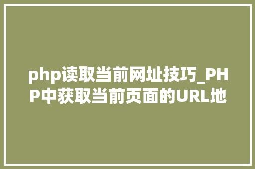 php读取当前网址技巧_PHP中获取当前页面的URL地址的方法