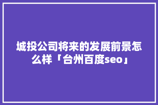城投公司将来的发展前景怎么样「台州百度seo」
