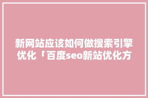 新网站应该如何做搜索引擎优化「百度seo新站优化方案」