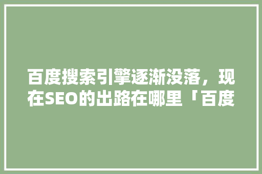 百度搜索引擎逐渐没落，现在SEO的出路在哪里「百度seo网站优化平台有哪些」