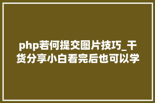 php若何提交图片技巧_干货分享小白看完后也可以学会上传图片不再求人