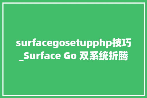 surfacegosetupphp技巧_Surface Go 双系统折腾记