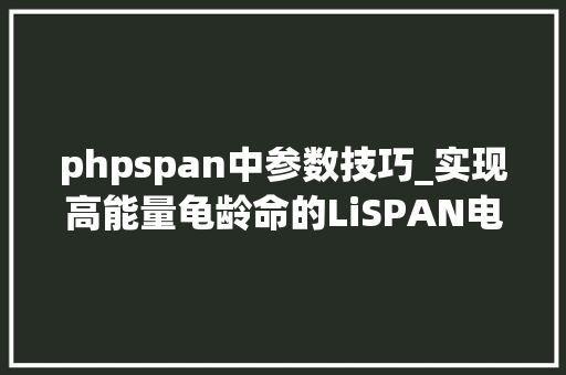 phpspan中参数技巧_实现高能量龟龄命的LiSPAN电池