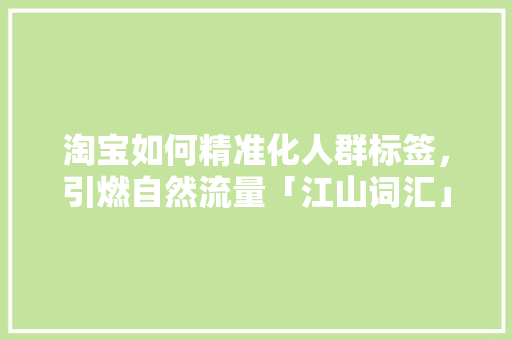淘宝如何精准化人群标签，引燃自然流量「江山词汇」