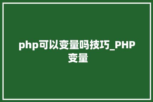 php可以变量吗技巧_PHP 变量