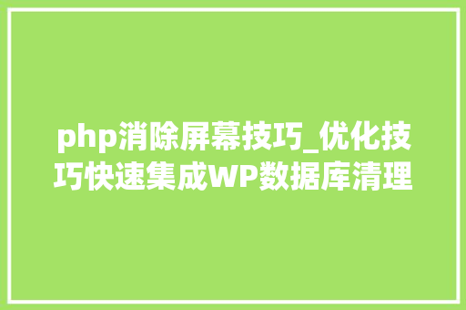 php消除屏幕技巧_优化技巧快速集成WP数据库清理中文插件wpcleanup到主题