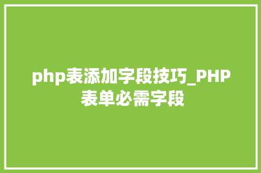 php表添加字段技巧_PHP 表单必需字段