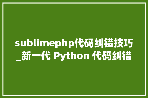 sublimephp代码纠错技巧_新一代 Python 代码纠错对象Ruff凸起一个字快