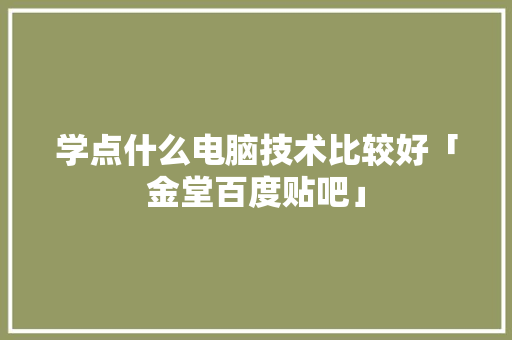 学点什么电脑技术比较好「金堂百度贴吧」