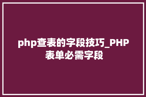 php查表的字段技巧_PHP 表单必需字段