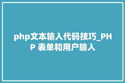 php文本输入代码技巧_PHP 表单和用户输入
