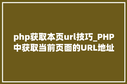 php获取本页url技巧_PHP中获取当前页面的URL地址的方法