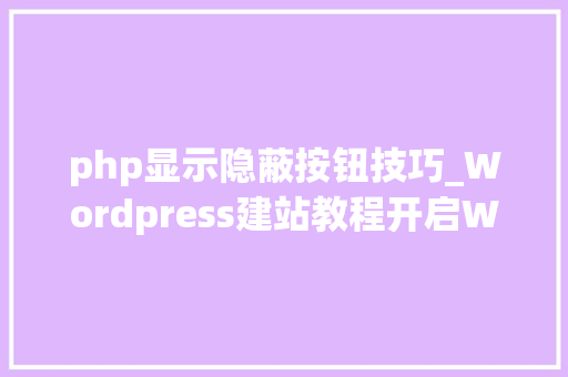 php显示隐蔽按钮技巧_Wordpress建站教程开启Wordpress隐藏的设置选项
