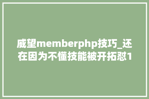 威望memberphp技巧_还在因为不懂技能被开拓怼10天补齐产品经理必懂的根本技能常识