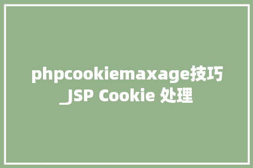 phpcookiemaxage技巧_JSP Cookie 处理