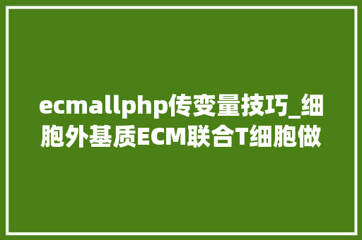 ecmallphp传变量技巧_细胞外基质ECM联合T细胞做生信旧貌换新颜带你轻松玩转8分