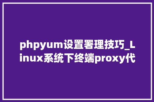 phpyum设置署理技巧_Linux系统下终端proxy代理设备