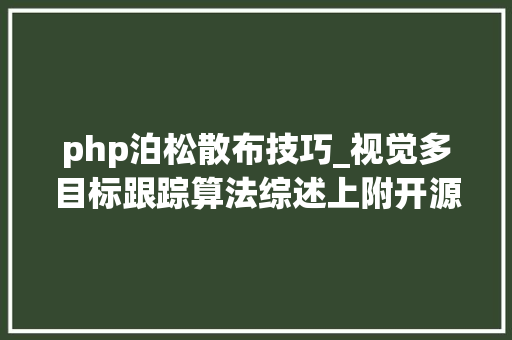 php泊松散布技巧_视觉多目标跟踪算法综述上附开源代码下载链接整理