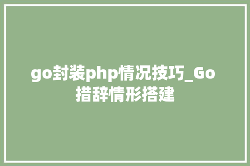 go封装php情况技巧_Go 措辞情形搭建