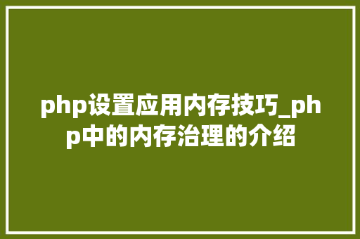 php设置应用内存技巧_php中的内存治理的介绍