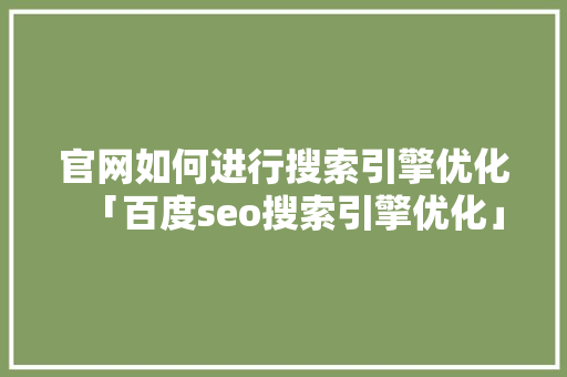 官网如何进行搜索引擎优化「百度seo搜索引擎优化」