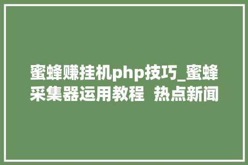 蜜蜂赚挂机php技巧_蜜蜂采集器运用教程  热点新闻推送到手机