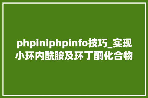 phpiniphpinfo技巧_实现小环内酰胺及环丁酮化合物的纰谬称氢化