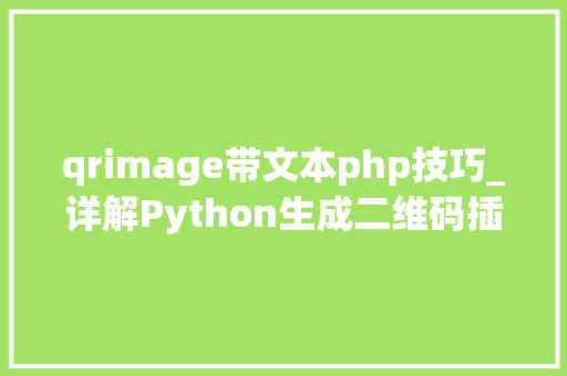 qrimage带文本php技巧_详解Python生成二维码插件QrCode的运用