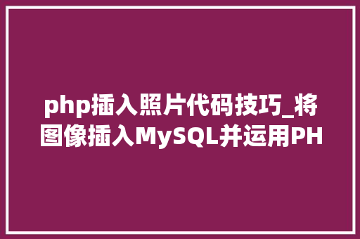 php插入照片代码技巧_将图像插入MySQL并运用PHP检索图像