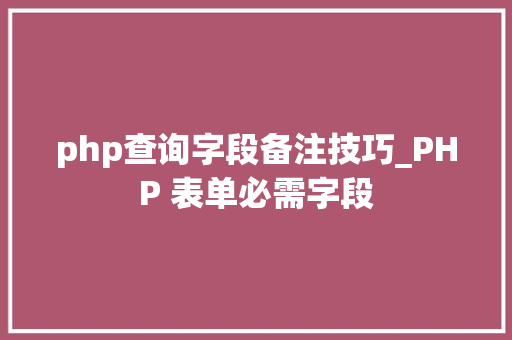 php查询字段备注技巧_PHP 表单必需字段