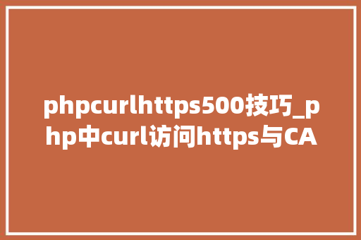 phpcurlhttps500技巧_php中curl访问https与CA证书代码示例