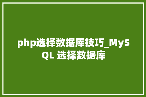 php选择数据库技巧_MySQL 选择数据库