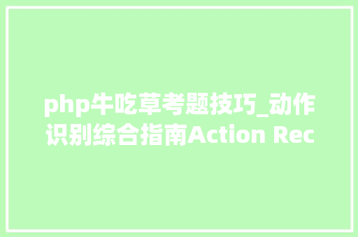 php牛吃草考题技巧_动作识别综合指南Action Recognition