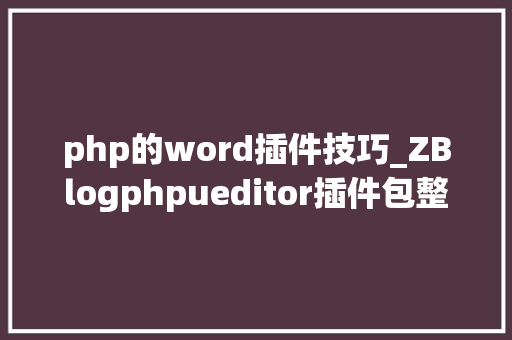 php的word插件技巧_ZBlogphpueditor插件包整合教程Word图片一键导入