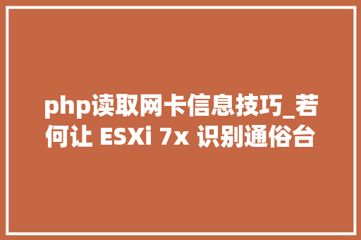 php读取网卡信息技巧_若何让 ESXi 7x 识别通俗台式机的网卡