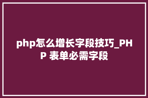 php怎么增长字段技巧_PHP 表单必需字段