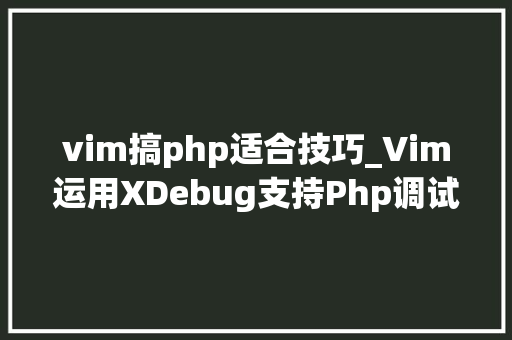 vim搞php适合技巧_Vim运用XDebug支持Php调试